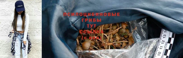 spice Бронницы