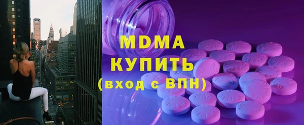 индика Бородино