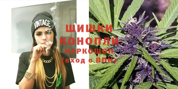 индика Бородино