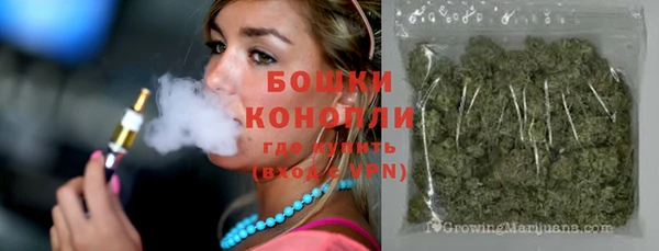 spice Бронницы