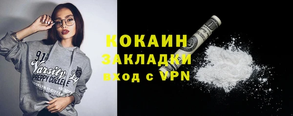 индика Бородино