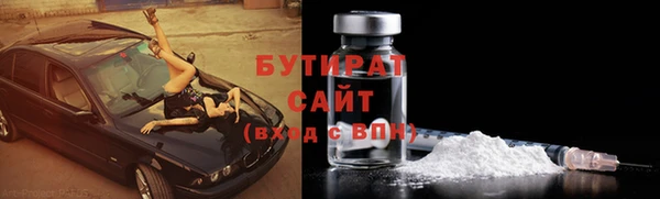 индика Бородино