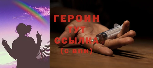 индика Бородино
