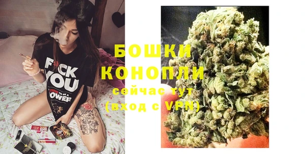 spice Бронницы