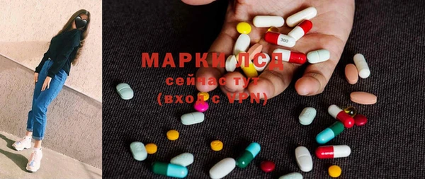 индика Бородино
