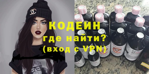 индика Бородино