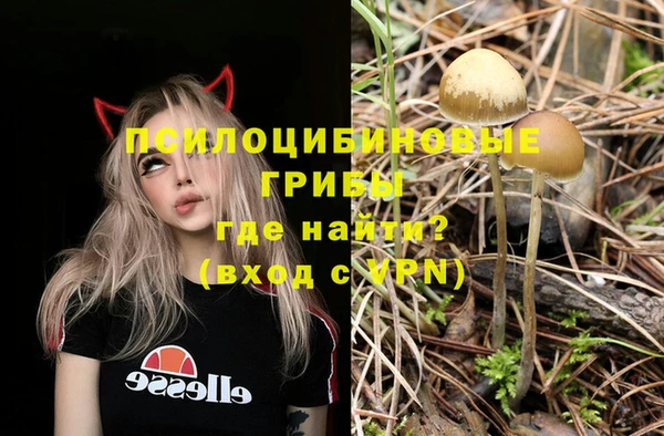 индика Бородино