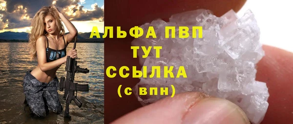 индика Бородино
