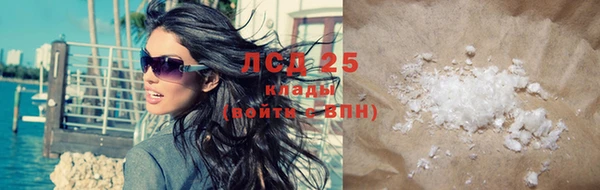 индика Бородино