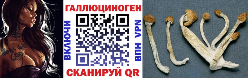 Псилоцибиновые грибы ЛСД  Оса 